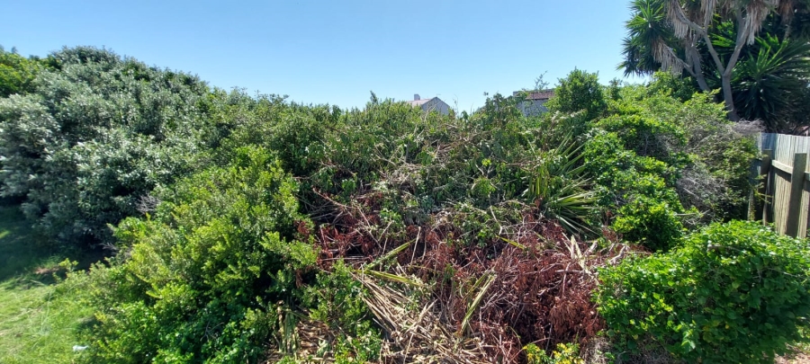 Commercial Property for Sale in Santareme Eastern Cape